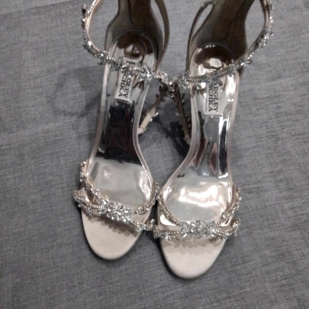 Badgley Mischka Jeweled Wedding/Evening Shoes